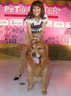 Pet Fashion Week 2008