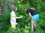 Raspberry Picking