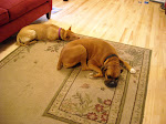 Riley and Laila