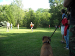 Anna's first Cross Country meet