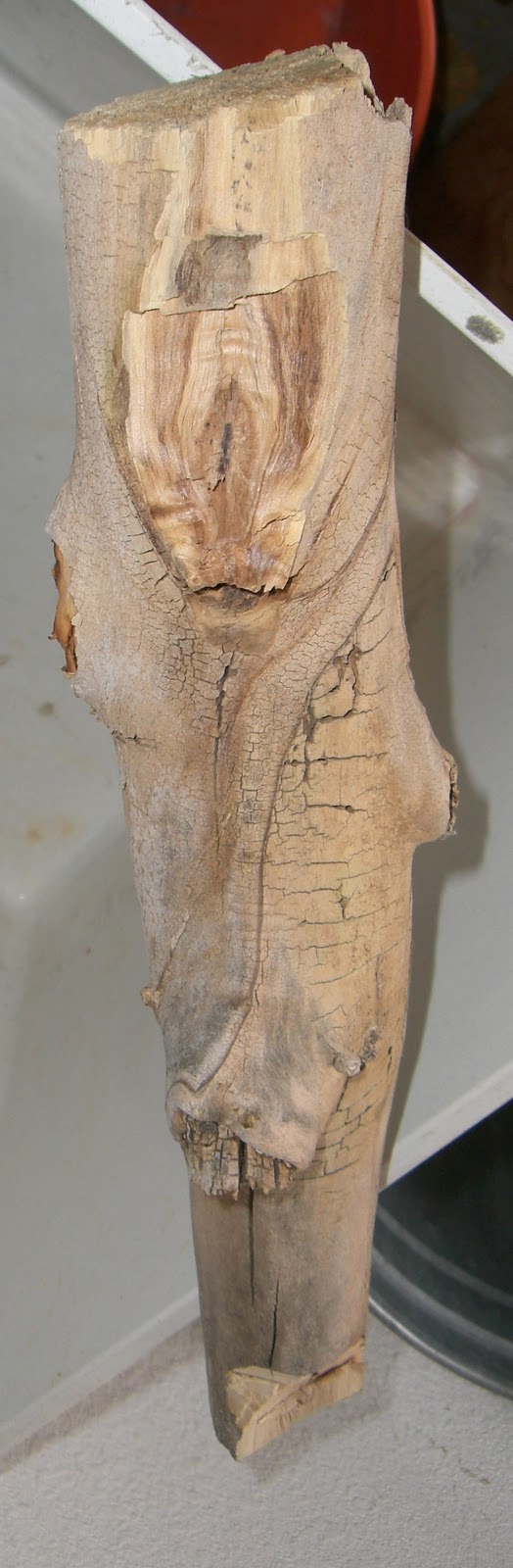 Best Woodworking Plans And Guide Dremel Tools For Wood Carving Wooden