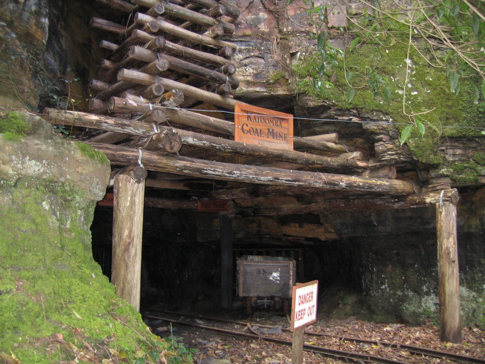 Mandy's Adventure Pictures of Blue Mountain