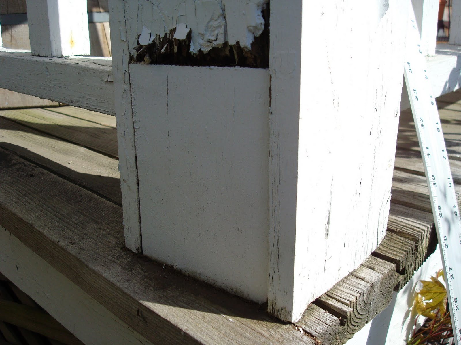 Hawkins House: Entry Porch Rescue, Part I: What Damage Hath Water Wrought