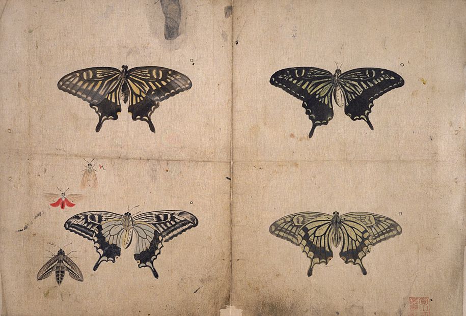 [Album+of+sketches.jpg]