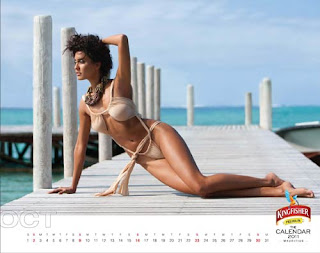 Kingfisher Calendar 2011 - October