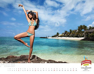 Kingfisher Calendar 2011 - February