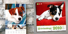 Uniteddogs helps you communicate with other dog-owners from around the world