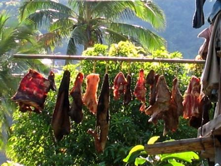 cordillera delicacies