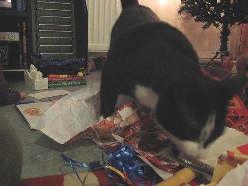 [Annimussuttaalahjapaperia.jpg]