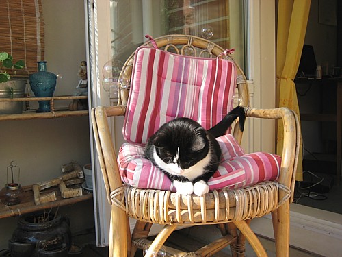 [Anni_saippuakuplat3.jpg]