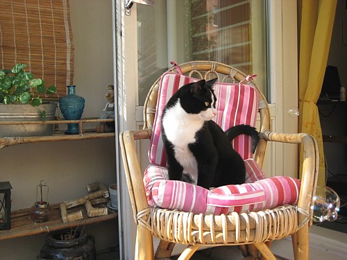 [Anni_saippuakuplat4.jpg]