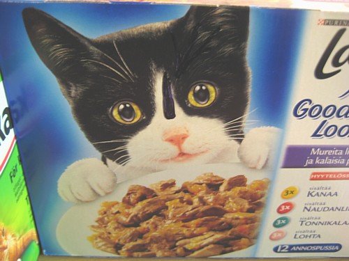 [Latz_Annin_viirulla.jpg]