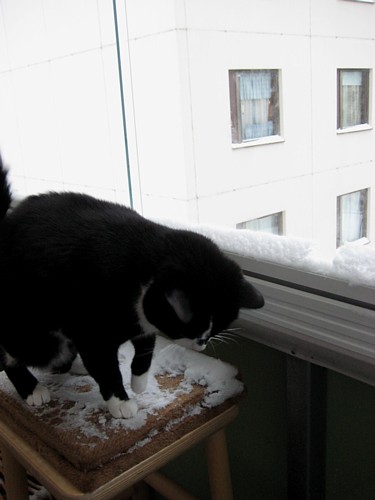 [Anni_istuu_lumisella_telineella.jpg]