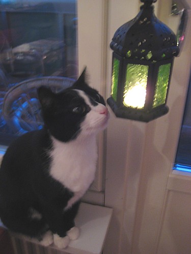 [Anni_lyhtytonttu.jpg]