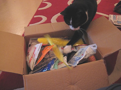 [Anni_ja_L-L_paketti.jpg]