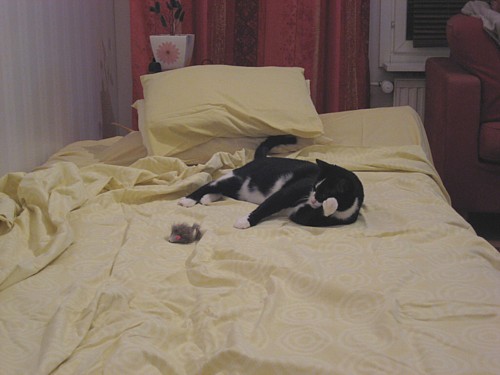 [Anni_keskella_petia.jpg]