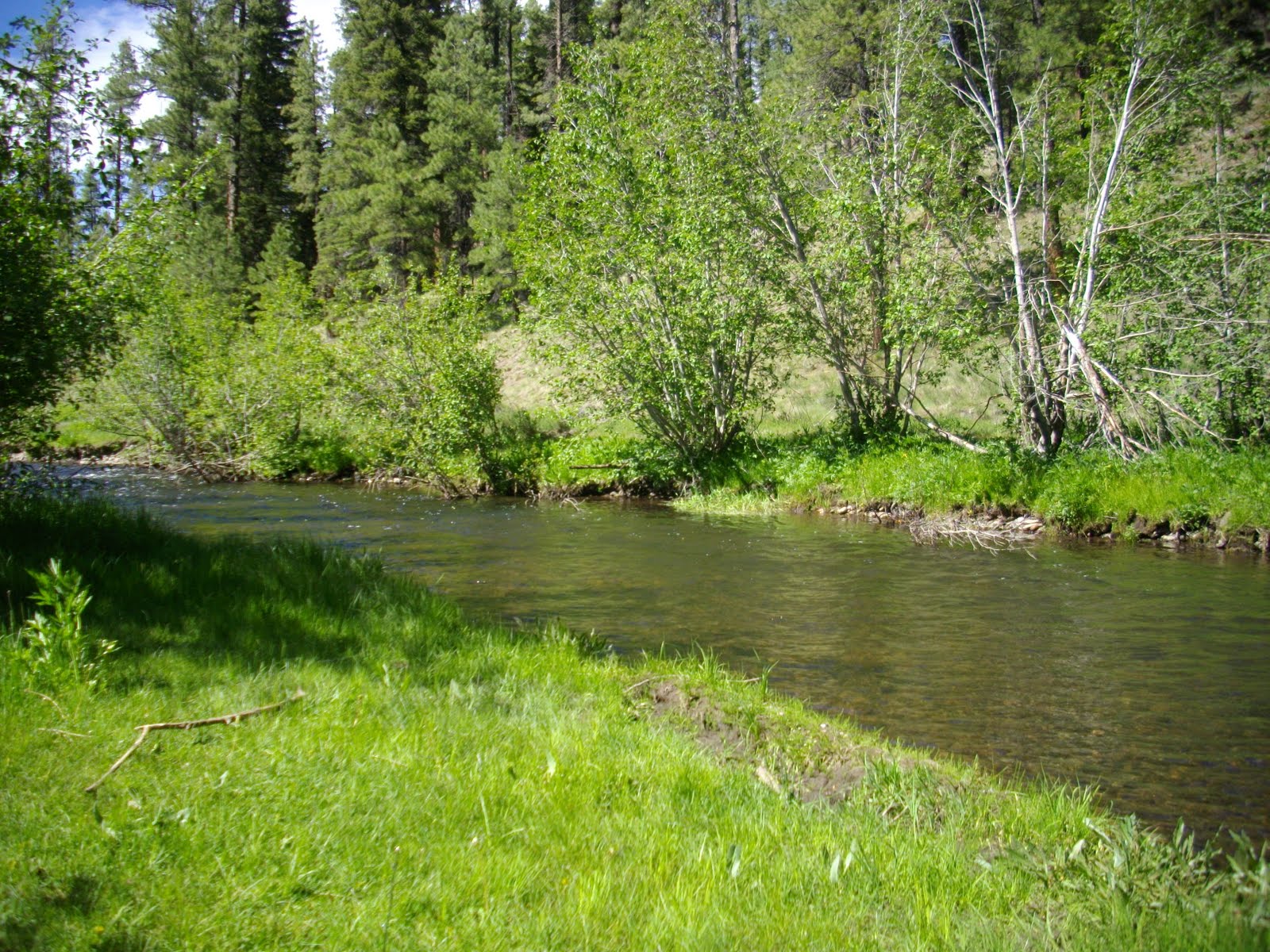 Jay Scott Outdoors North Fork of the White River Fly Fishing