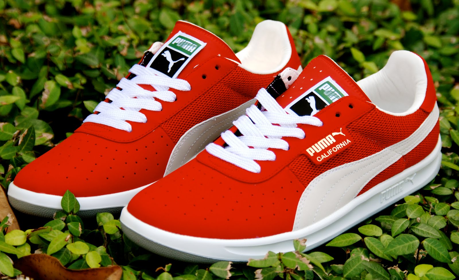 Sole Sneaker Boutique New Puma Footwear