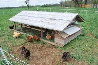 Camp Pleasant, Frankfort Kentucky: Another Chicken Coop ...