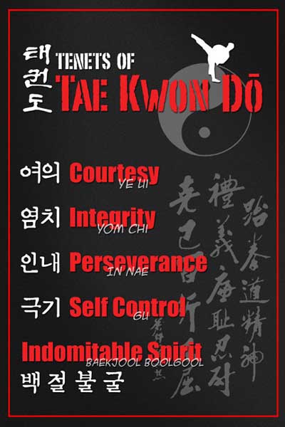 I PRINCIPI DEL TAEKWONDO