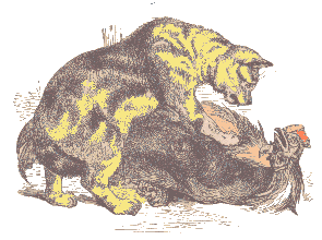 Resultado de imagem para o gato e o galo