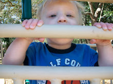 A Day at the park