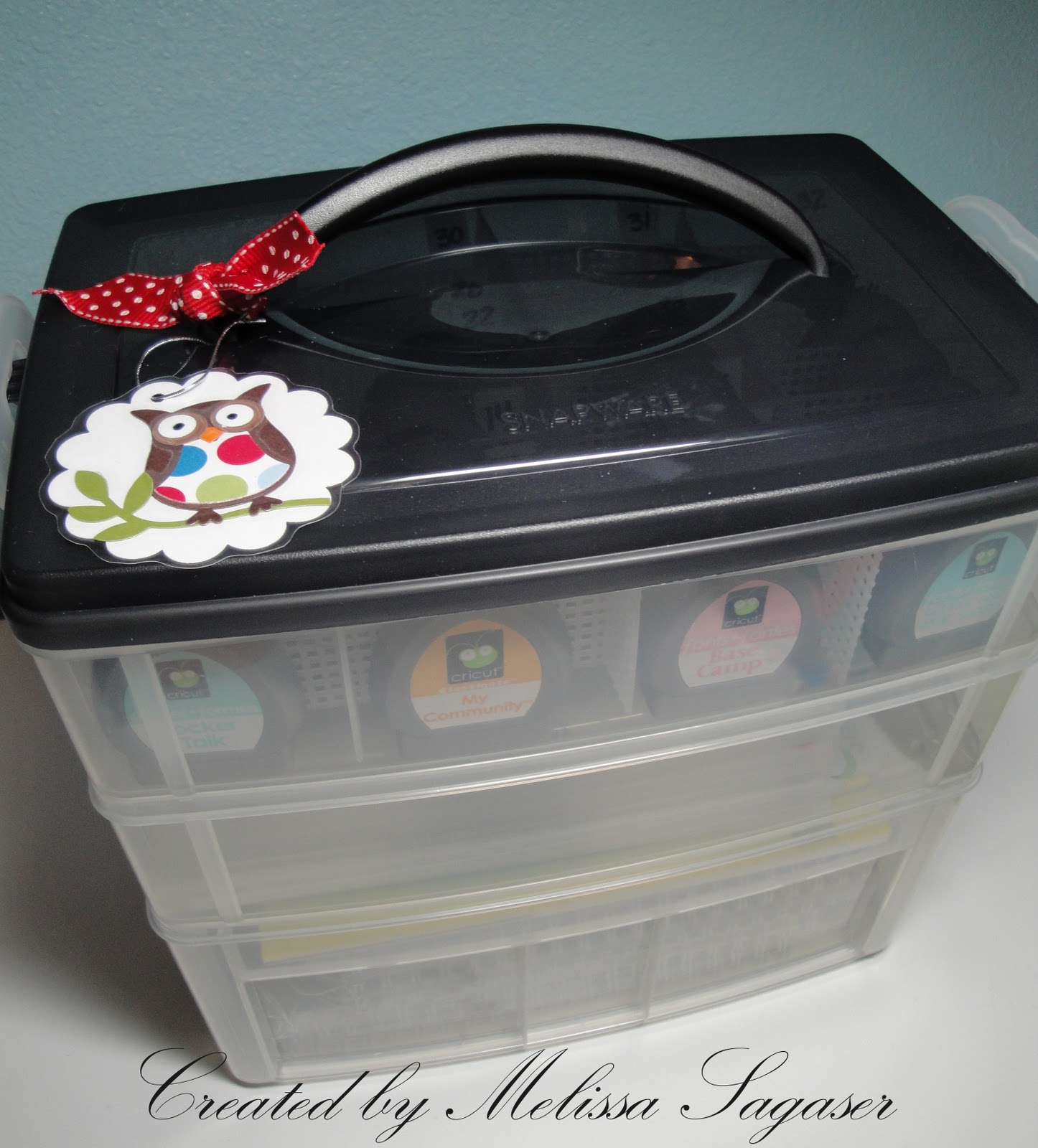 Creative Treasures Cricut Cartridge Organizer