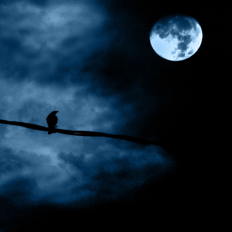 [full+moon+&+raven.jpg]