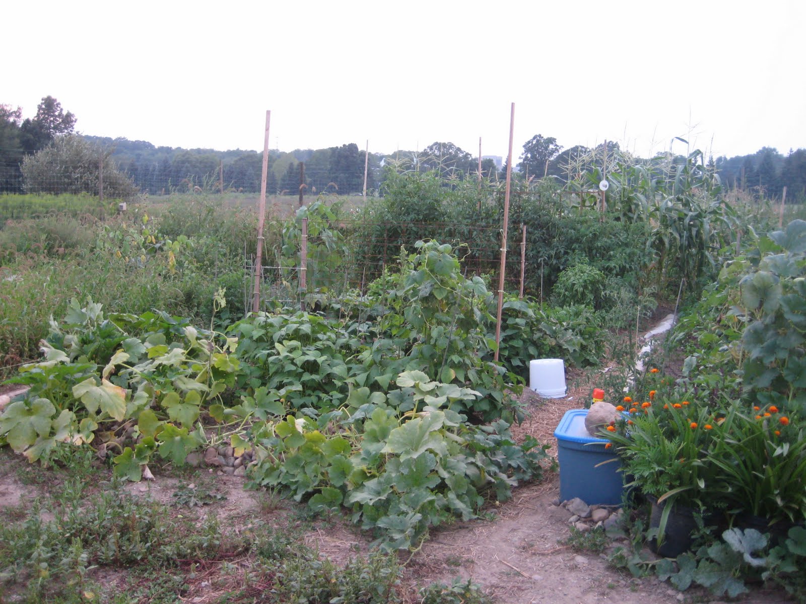 The Displaced Southerners: August 2010