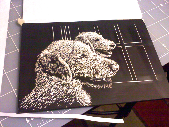 Brad Albright Illustration Blog Dog Portrait Scratchboard Tutorial pt 3