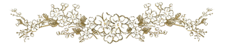 barraprata_%2832%29.gif