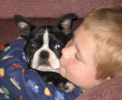 In Memory of Peanut