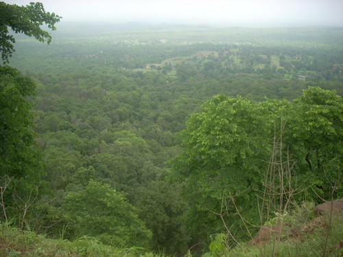 El Tigre Blanco: Habitat del tigre blanco.