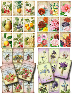 Laura Craft Home Deco: Ideas para Decorar el Jardin