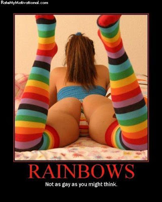 Rainbows Not Gay 66