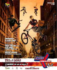 FESTIVAL SNEAKERS -URBANIA-