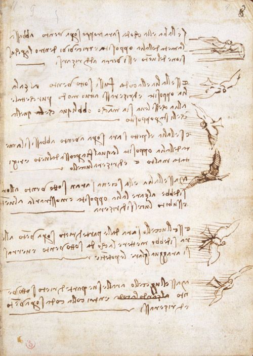 [davincicodexflightbirds.jpg]