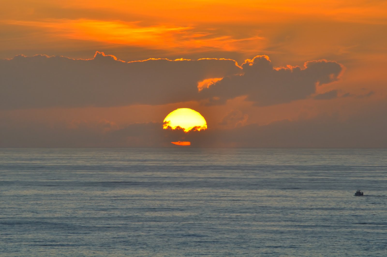 [DSC_0081b.jpg]