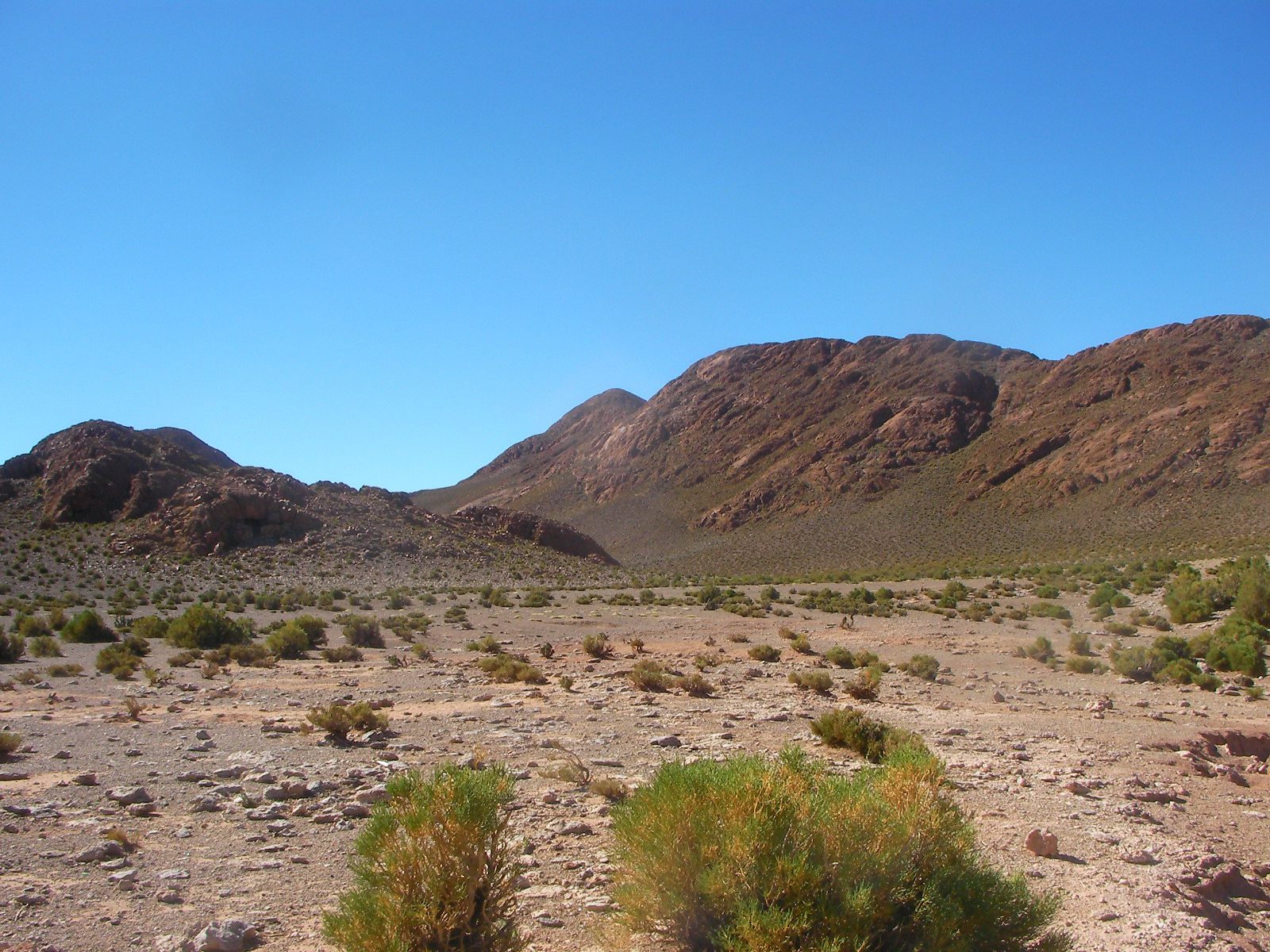 Proyecto Pastos Chicos: abril 2010