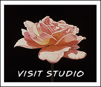 Visit Online Studio: