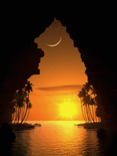 [nature+23.gif]