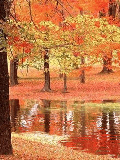[nature+30.gif]