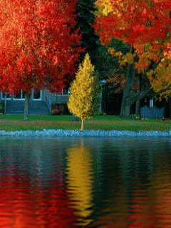 [nature+13.gif]