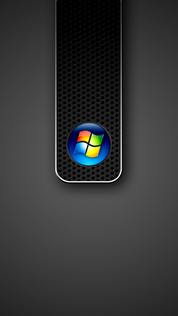 [5800_Windows.jpg]
