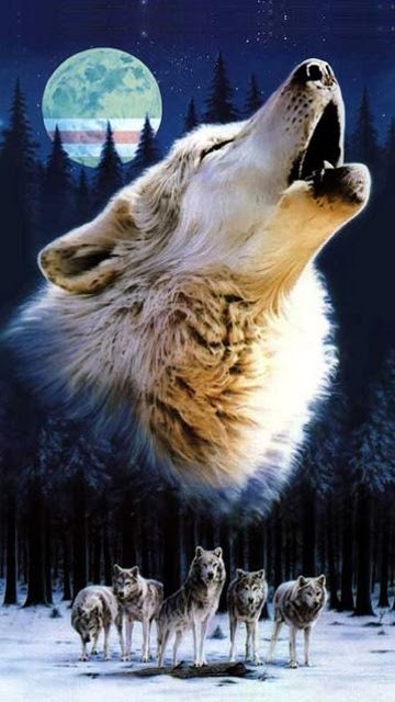 [Wolf.jpg]