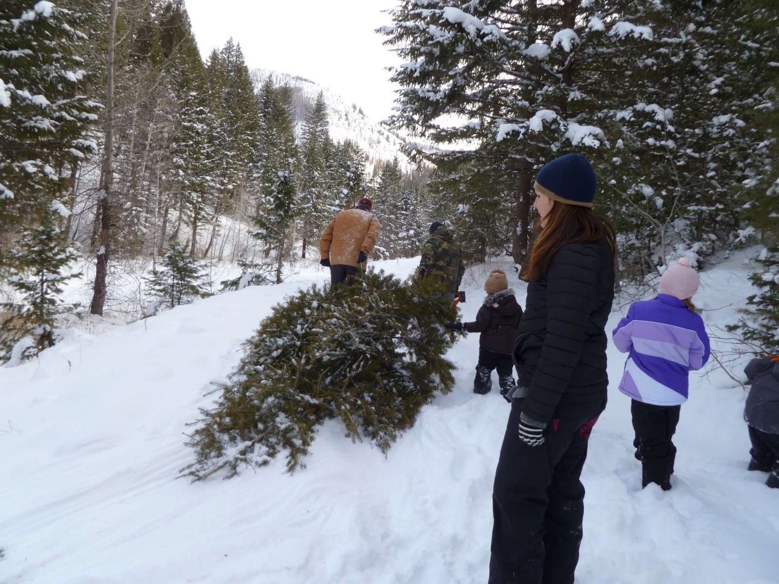 Sun Valley Families Cutting down your own Christmas tree