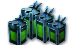 YAMF Shop sẽ cung cấp thiết bị và tư vấn để bạn tự tay thiết kế một hồ thuỷ sinh cho riêng mình