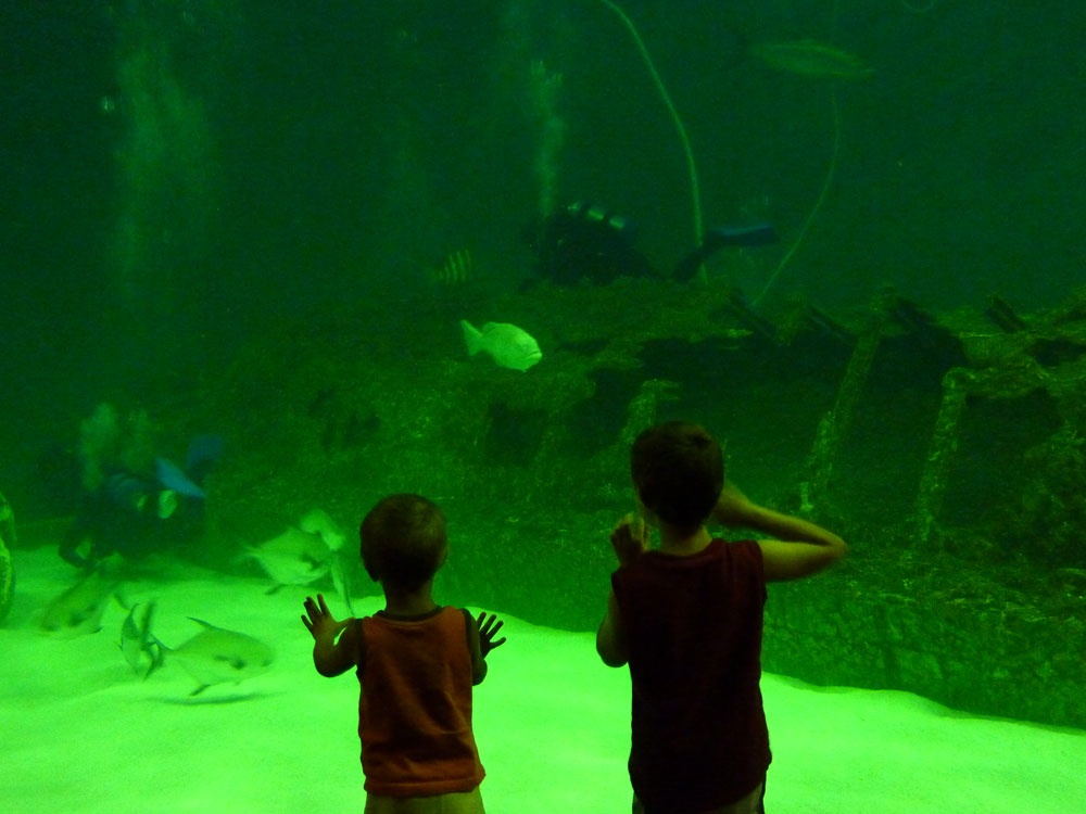 Around and Around North Carolina Aquarium