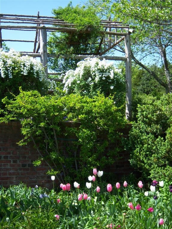 Bicklinger Blog Morven Virginia Garden Week