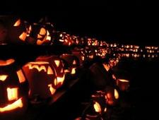 Pumpkin Glow Night